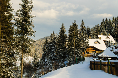 In the foreground are high fir trees covered with snow, in the background there are two storey wooden hotel and snow-capped mountains of Carpathians, Ukraineの写真素材