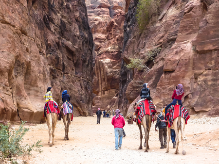 PETRA, JORDAN: Group of tourists on camels, next to them are the drivers - bedouins. Camels covered with bright national bedspreads, Petra (Rose City)のeditorial素材