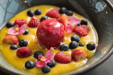 Berry sorbet with yellow mango sauce, and various berriesの写真素材