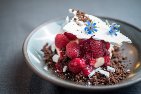 Homemade ice-cream ball with rye bread, meringue and berries, and vanilla sauce