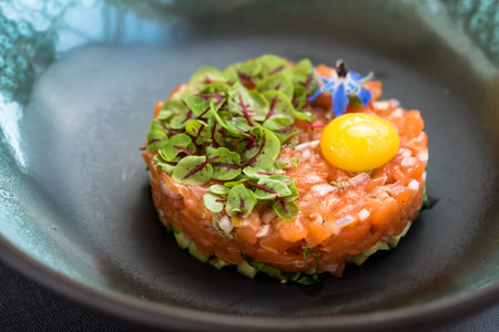 Salmon tartare with cucumber, onions, small leaves and yellow egg yolkの写真素材