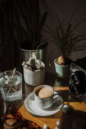 espresso in the retro cup on the glass table with the vintage decoration, plants and old cameraの写真素材