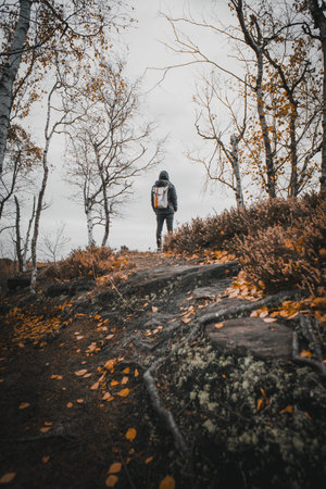 man with the bag standing on the top of the rock watching the autumn nature around, national park TisÃ¡ in the Czech republicの写真素材