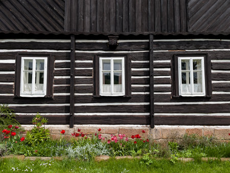 Borovnicka, Czech republic - May 15, 2021. Detail of traditional old houses in Podkrkonosi regionのeditorial素材