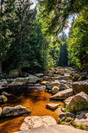 Krucze skaly-rocks in Giant Mountains in Summerの写真素材