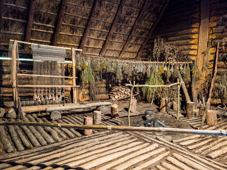 Biskupin, Poland - August 09, 2021. Archaeological site and a life-size model of a late Bronze Age fortified settlement in north-central Polandのeditorial素材