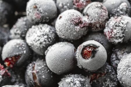 Ripe frozen sweet black currant, blackcurrant, yoshta with hoarfrost. Natural organic healthy food.の写真素材