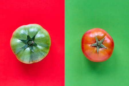 Colorful pattern from of red tomato on green background and green natural tomato on red background. Closeup, top viewの写真素材