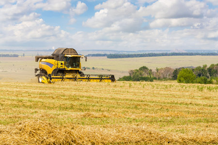 Combine harvester working on a field on sunny summer day with blue sky. Agriculture