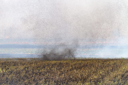 Smoke in case of fire on the agricultural field