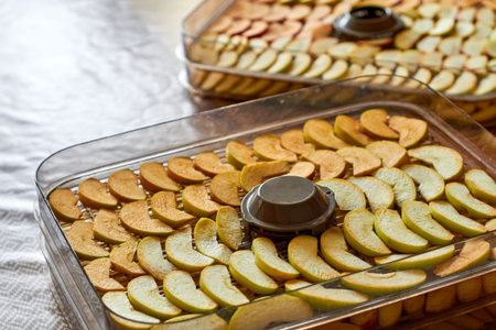 Sliced apples in the food dryer before drying. Cut apples on dehydrator tray. Closeup, selective focusの写真素材