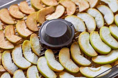 Sliced apples in the food dryer before drying. Cut apples on dehydrator tray. Closeup, selective focusの写真素材