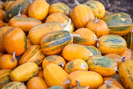Pile of orange pumpkins at outdoor farmers market
