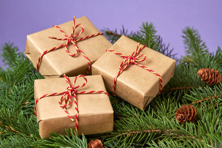Christmas or New Year gift boxes on the background of fir branches