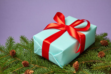 Blue Christmas or New Year gift box with red ribbon on the background of fir branchesの写真素材
