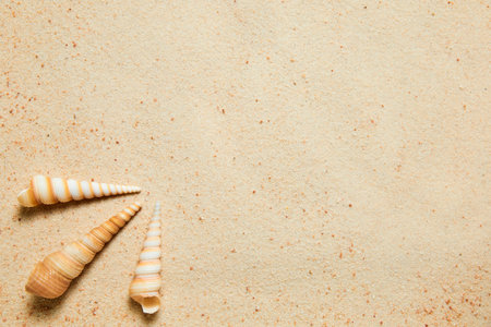 Summer background of sand and exotic sea shells with copy space