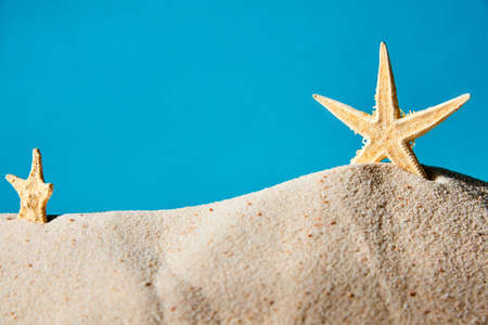 Starfishes stand in the sand on a blue backgroundの写真素材