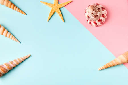 Exotic sea shells and starfish on minimal colorful background with copy spaceの写真素材