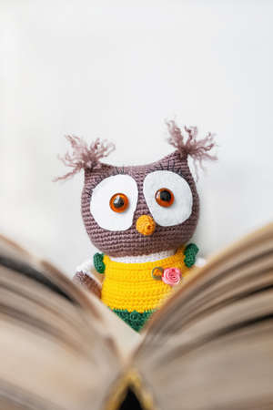 Handmade toy owl with an open book as a symbol of wisdom and knowledgeの写真素材