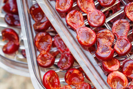 Cherry in the food dryer. Cherry halves on dehydrator tray. Closeup, selective focusの写真素材