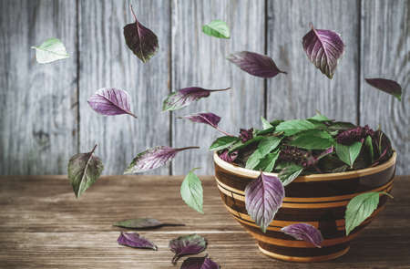 Flying fresh basil leaves and bowl with basil leaves on brown wooden table and gray wooden wall background. Raw food concept.の写真素材