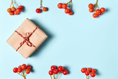 Christmas gift box on a blue background decorated with rowan berries with copy space