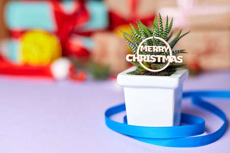 The inscription Merry Christmas on a cactus against the background of New Year gift boxesの写真素材