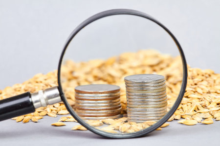 Stacks of coins on the background of barley grains through a magnifying glass