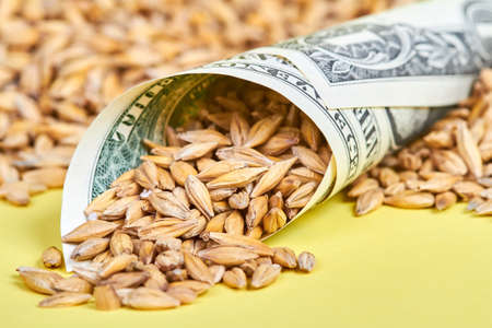 A rolled up dollar bill with barley grains sprinkled into itの写真素材