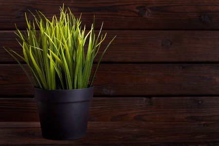 Artificial grass in plastic pot on wooden background with copy spaceの写真素材