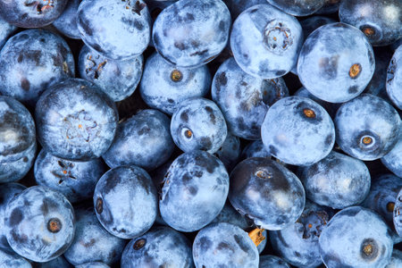 Close-up of Blueberry background from Freshly picked berriesの写真素材