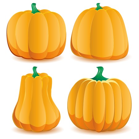 Set of pumpkins isolated on white, part 2,  illustrationのイラスト素材