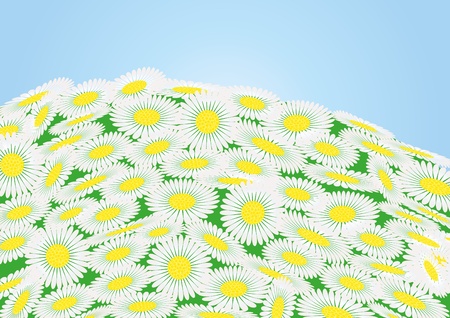 Green field with chamomile flowers and blue sky, vector illustrationのイラスト素材