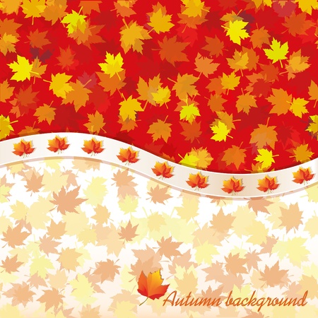 Autumn background with maple leaves.のイラスト素材