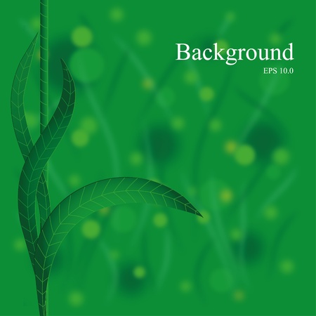 Abstract summer background with green leavesのイラスト素材