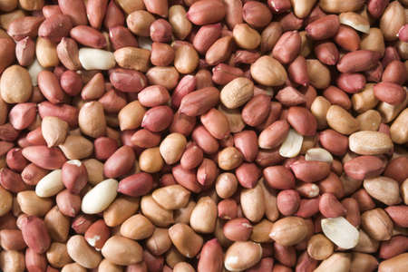 A selection of shelled peanutsの写真素材