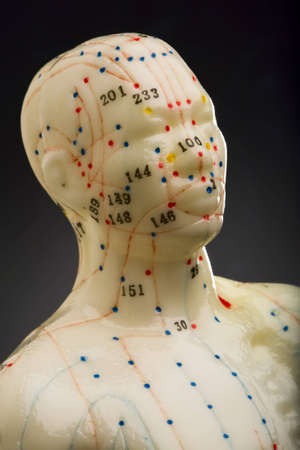 Close-up of mannequins head used for demonstration of acupunctureの写真素材