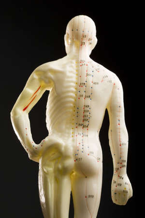 Acupuncturists doll isolated on blackの写真素材