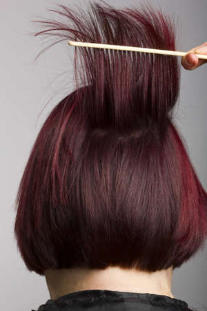 Hair stylist combing clients hairの写真素材