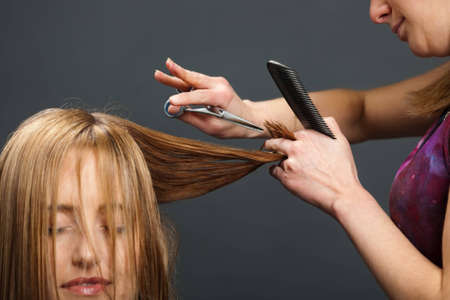 Studio photograph of hairdresser cutting customer's hairの写真素材