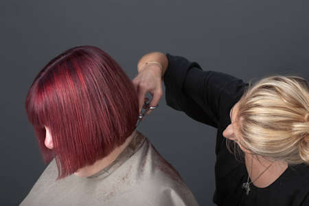 Professional hairdresser cutting customer's hairの写真素材