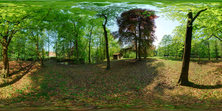 Panorama 360 degrees angle view of beautiful green forest. Panorama 360 degrees angle viewの写真素材