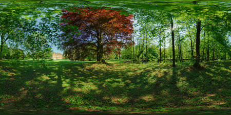 A 3D render of a green park with trees and grass.の写真素材