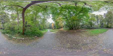 360 Panorama of a city park with green trees and a road.の写真素材