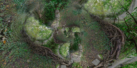 Top view of a beautiful green forest with green trees and plants. Mathematical warp.の写真素材