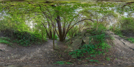 360 degree panorama 360 degrees angle view of green forest and river.の写真素材
