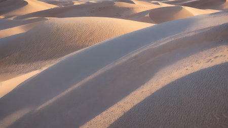 the empty quarter  and outdoor  sand  dune in oman old desert rub al khaliの写真素材
