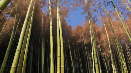 bamboo forest with blue sky background, 3d rendering. Computer digital drawing.の素材
