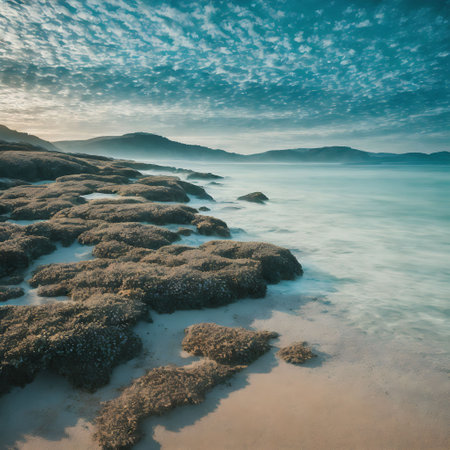 Beautiful seascape. Dramatic overcast sky. Toned.の素材