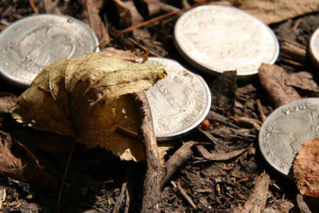 Coins scattered on the groundの写真素材